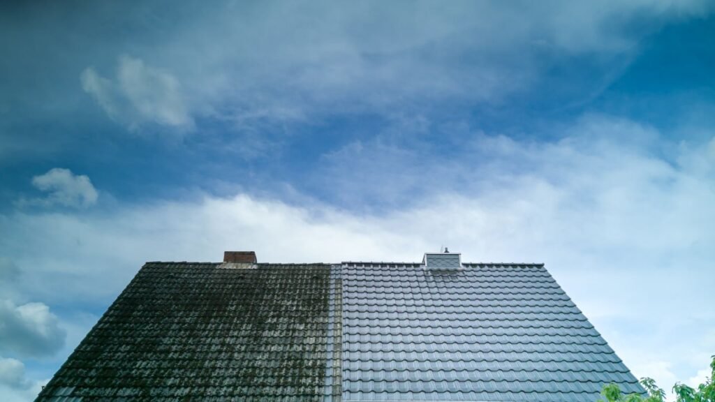 free roof cleaning leads